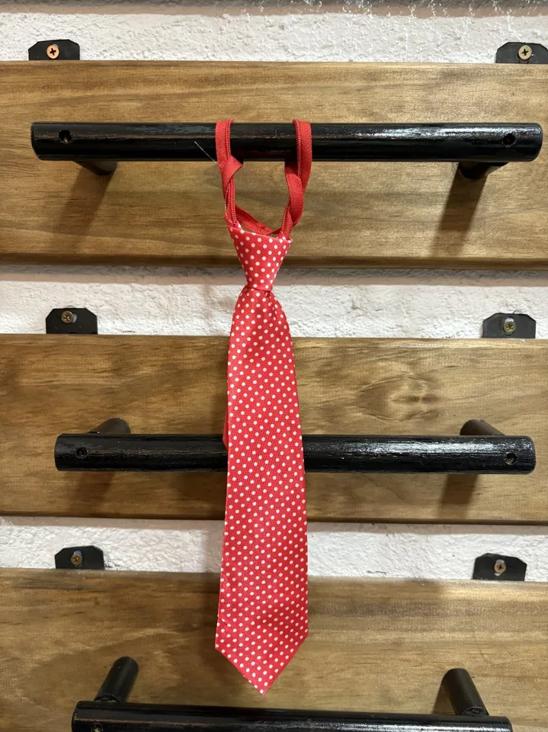 Corbata niño rojo con puntos blancos